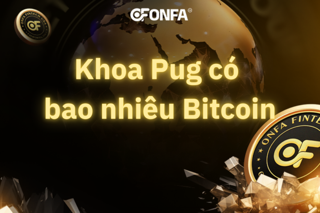 khoa-pug-co-bao-nhieu-bitcoin