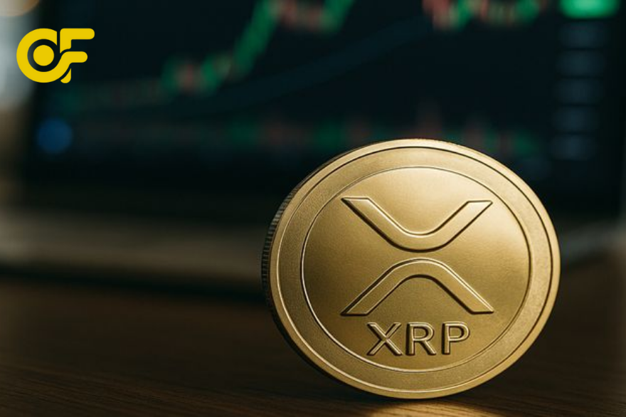 Có nên đầu tư Xcrypto.biz Đánh giá lợi nhuận – rủi ro và lời khuyên cho người mới