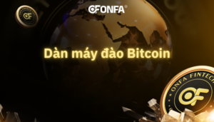 dan-may-dao-bitcoin