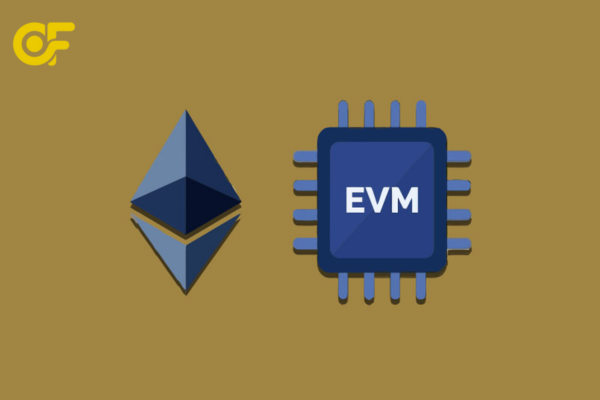 Danh sách các mạng tương thích EVM như BNB Chain, Polygon, Avalanche, giúp người dùng triển khai DApp dễ dàng