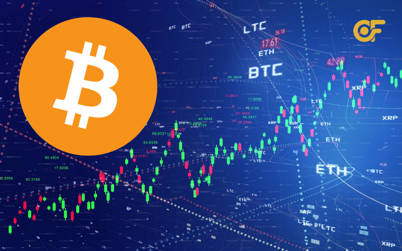 So sánh thị trường Bitcoin với các tiền điện tử khác