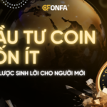 dau-tu-coin-von-it