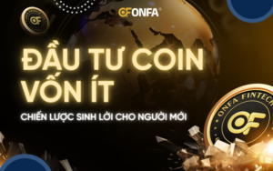 dau-tu-coin-von-it