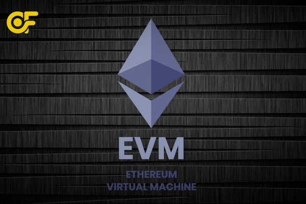 Tìm hiểu vai trò của EVM – giúp các blockchain tương thích, mở rộng hệ sinh thái DeFi và dApp toàn cầu