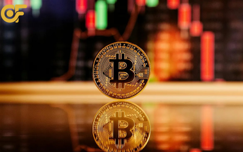 Tổng hợp các loại Web đào Bitcoin phổ biến như cloud mining trả phí, web đào miễn phí, web faucet, PTC – giúp người dùng dễ lựa chọn