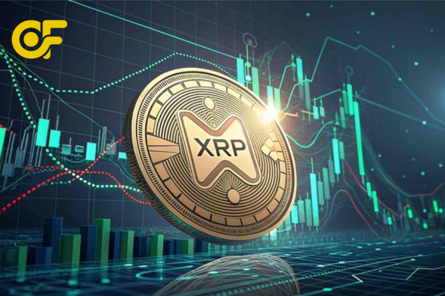 Xcrypto.biz uy tín hay lừa đảo Phân tích rủi ro, dấu hiệu đáng nghi và mức độ minh bạch của dự án