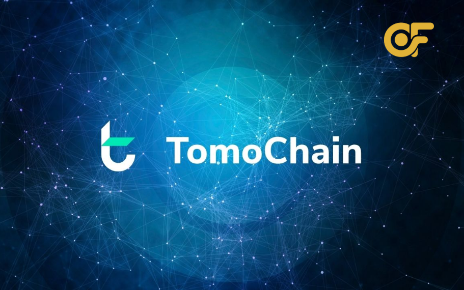 doi-ngu-du-an-nha-dau-tu-va-doi-tac-cua-tomochain