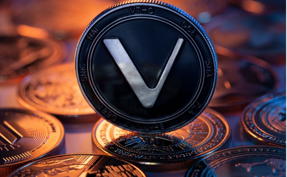 co-nen-dau-tu-vao-vechain-vet