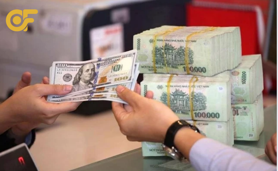 chinh-sach-ty-gia-hoi-doai-cua-dong-viet-nam-hien-nay