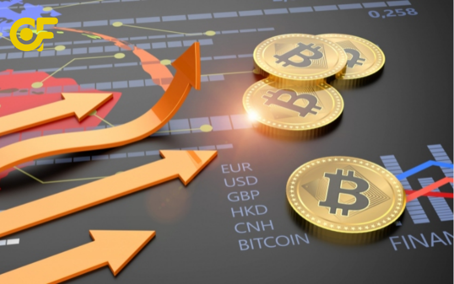 kinh-nghiem-dau-tu-crypto-cho-nguoi-moi