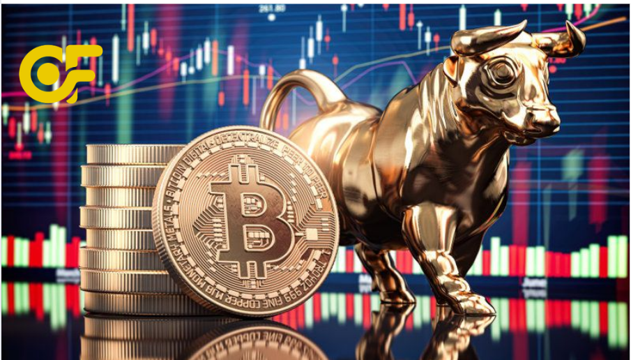 nen-dau-tu-crypto-o-dau-de-hieu-qua