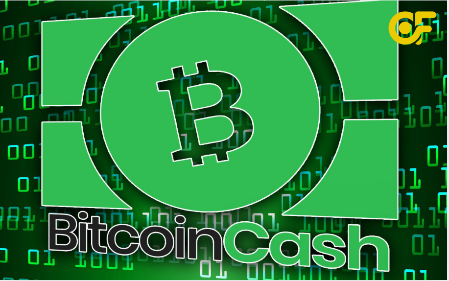 bitcoin-cash-hoat-dong-the-nao