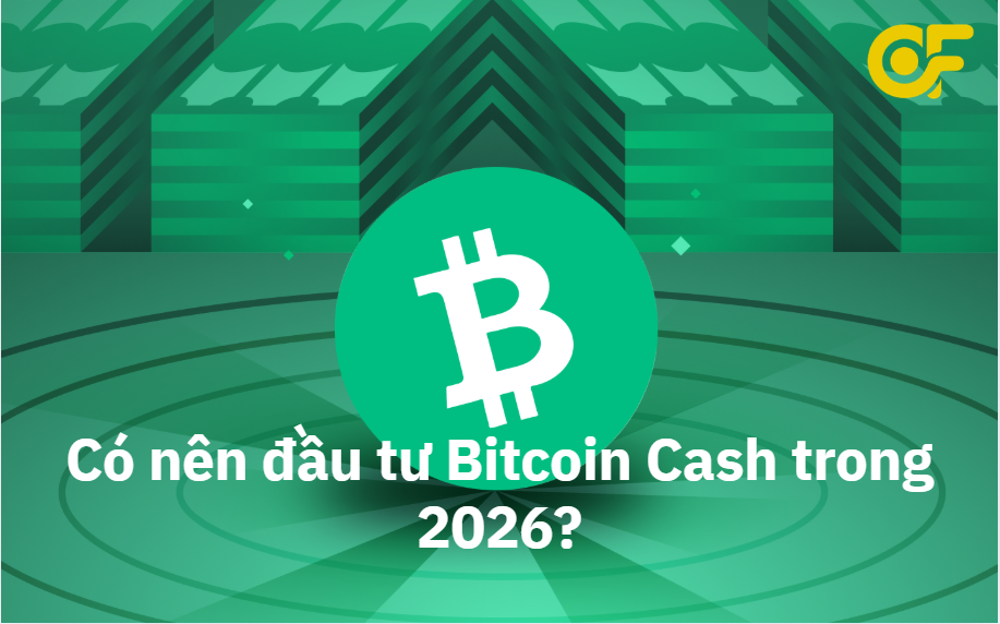 co-nen-dau-tu-bitcoin-cash-trong-2026