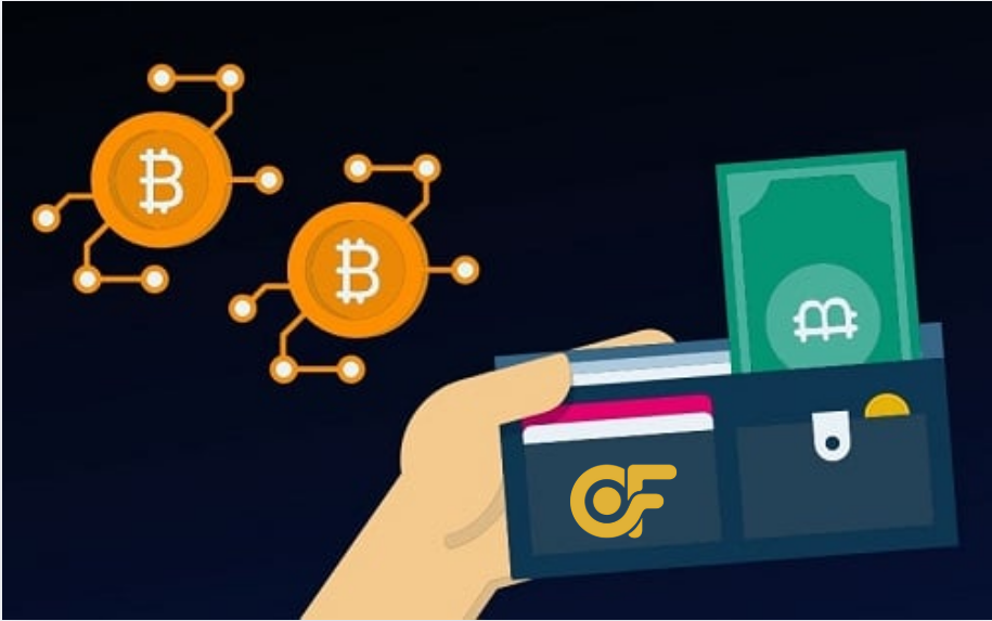 cac-loai-dia-chi-vi-btc-pho-bien